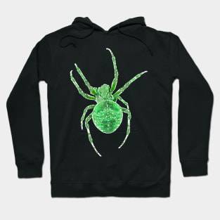 Green Spider Orb-Weaver Watercolor Style Hoodie